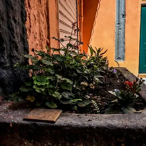 Appartement Little House, Naples